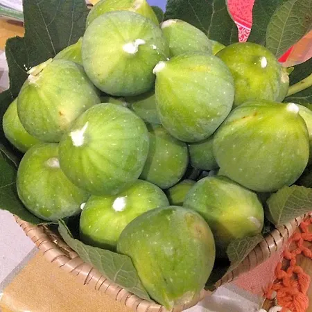 Sull'aia Frühstückspension 3*