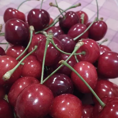 Couette-café Sull'aia